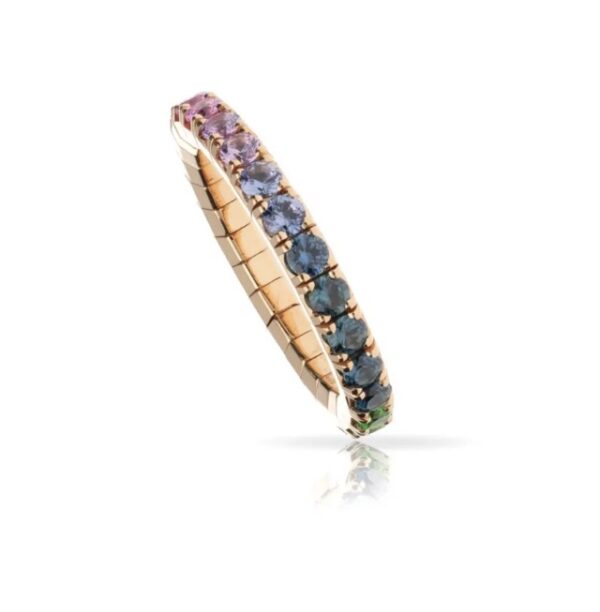 Extensible Ring Rainbow